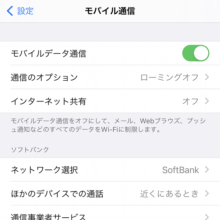iOS 14.4 シングルSIM設定画面